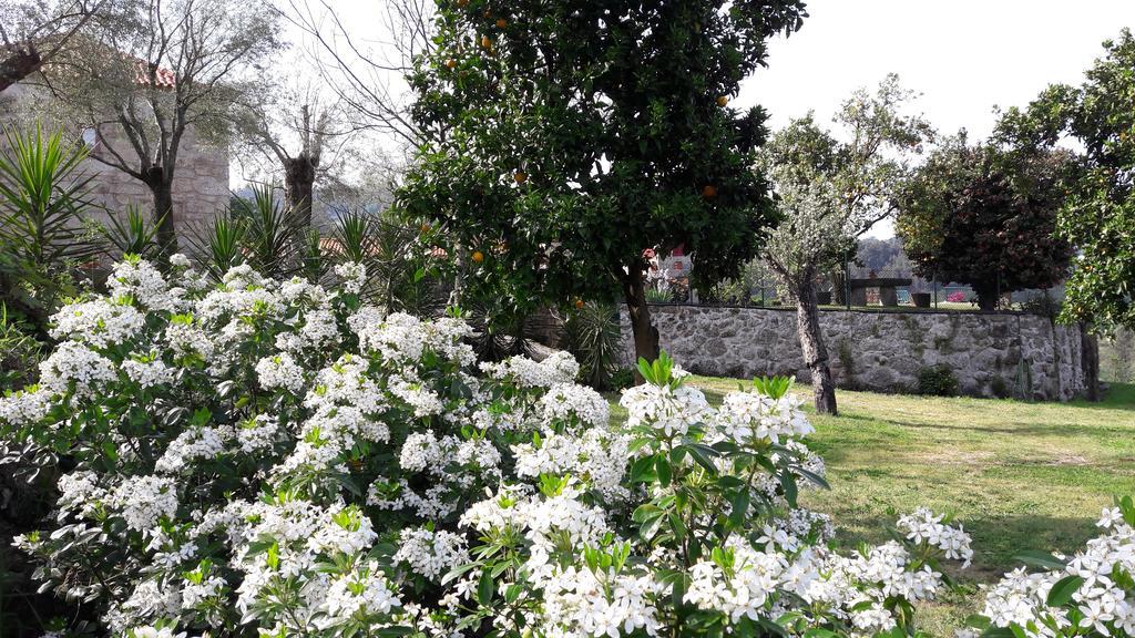 Casa D'Auleira Villa ปอนเจ ดา บาร์กา ภายนอก รูปภาพ